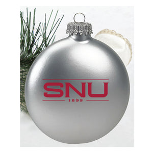 Disc Shaped Frosted Ornament, Silver