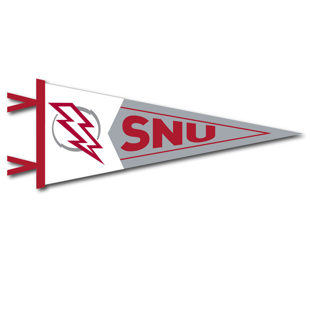 7 X 18 Two-Piece Flock Plus Pennant | Crimson